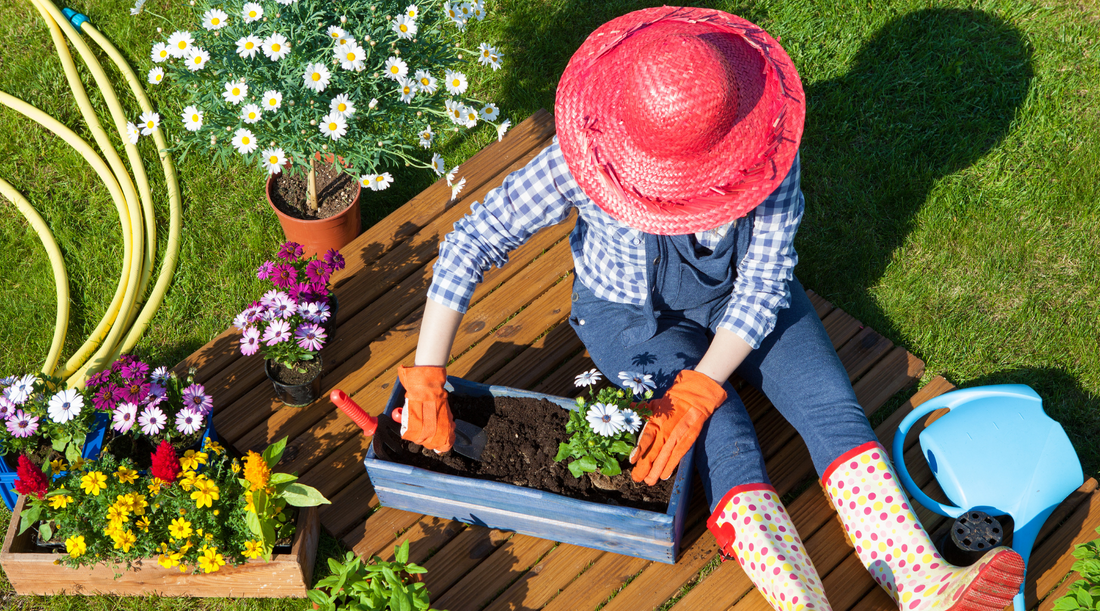 Gardening Tips for Porch and Patio Areas